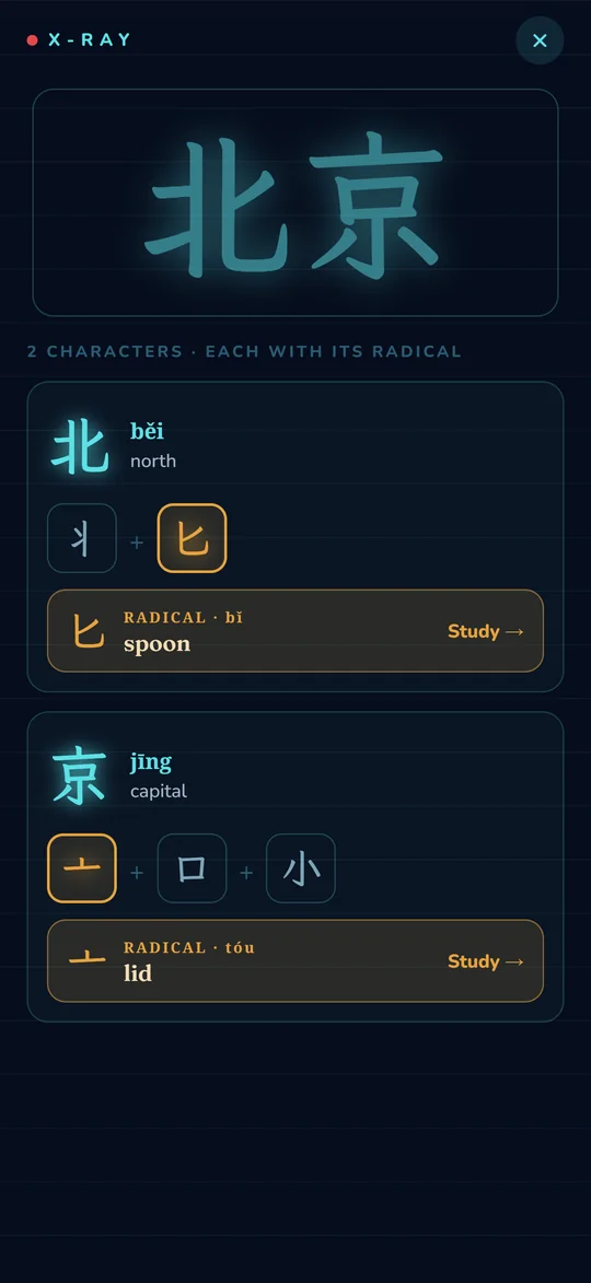X-ray of a character, with its pieces and radical